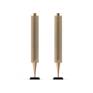 Bang and Olufsen BEOLAB 18