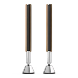 Bang and Olufsen BEOLAB 28